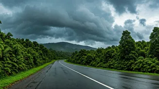 Monsoon Travel Needs Forecasts Before FOMO Plans