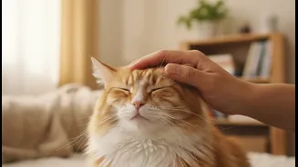 New Study Looks Beyond Pet Ownership To Everyday Human-Pet Interactions