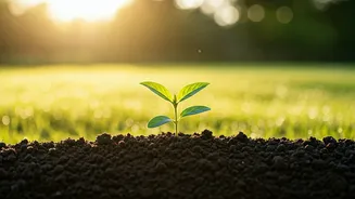 Proactive Lifestyle Strategies For Staying Agile In Your Twenties