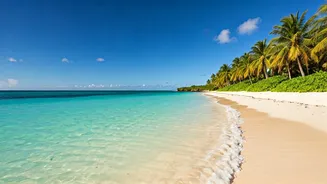 India's 8 Pristine Beaches: Your Ultimate Guide