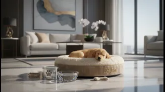 India's Premium Pet Economy: the evidence, the opportunity and the limits