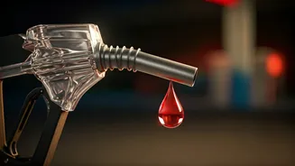 Fuel Price Rumors: Tamil Nadu Panic Buying Amidst Election Speculation; Ministry Clarifies No Hike Planned