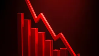 Direct mutual fund investments protect small investor returns from being drained by broker fees