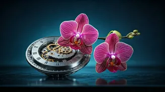 Aquarius Daily Forecast: April 23, 2026 - Practical Love, Strategic Decisions & Balanced Living