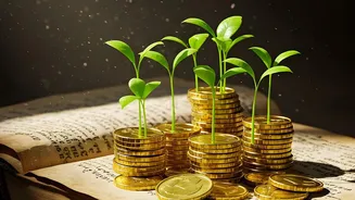 How Reinvesting Sovereign Gold Bond Payouts Protects Wealth Growth Across Volatile Equity Markets