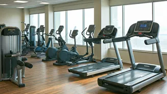 Unlocking Fitness: A Beginner's Guide to a Healthier You