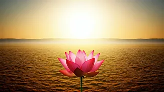 Millions Prepping For Synchronized Surya Namaskars This Yoga Day