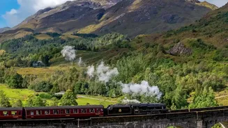 Top Budget Travel Tips For Scenic VistaDome Train Trips Across Green Western Ghats Valleys