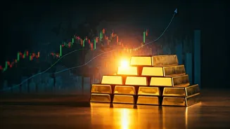 India's Investment Landscape: Hotspots and Trends