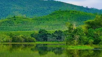 Planning A Nature Escape? Assam's Monsoon Has Plenty To Offer