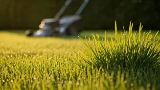 5 Expert Tips for a Faster, Greener Lawn: Grow a Lush Lawn Today!