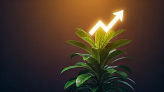 Scorpio's Transformative Day: Embrace Growth and Deepen Connections