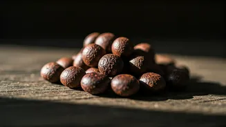 Unlocking the Power of Date Seeds: A Nutrient-Rich Superfood for Your Diet