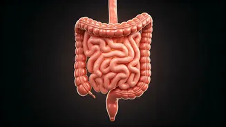 Related Stories banner