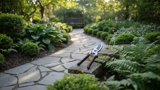 Pruning Can Improve Access without Reducing the Garden's Character