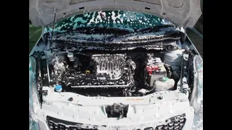 Quer lavar o motor? Pense duas vezes