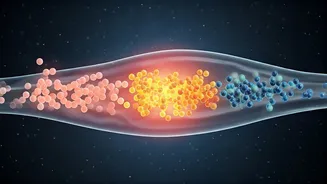 30 Days of Low-Carb: Unpacking Your Body's Fascinating Transformations