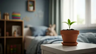 Related Stories banner