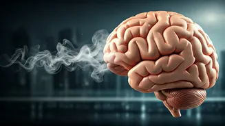 Air Pollution and Migraine: A Surprising Link Revealed by New Study