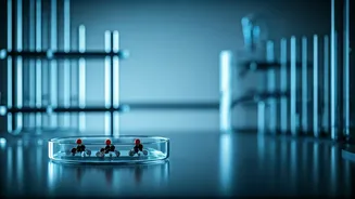 India's Coming Thinness: How Affordable Weight Loss Drugs Will Reshape Culture and Expectations