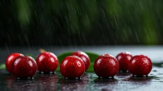 How Goa Celebrates Monsoons With Copious Amount Of Kokum