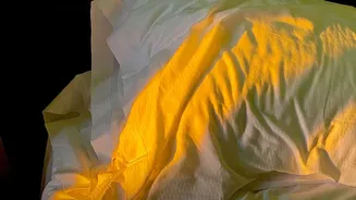 Why Catching Early Morning Rays Helps You Fall Asleep Faster Every Single Night