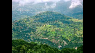 Nashik 39°C with wind chill drop: how grape-belt nights are cooling faster