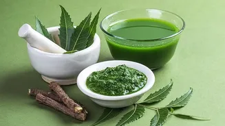 Why Regular Spraying With Neem Oil Protects Potted Balcony Greenery From Persistent Insect Pests Always