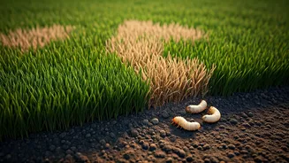 Related Stories banner