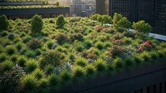 Why Getting Government Funds For Rooftop Greens Is Smart Move