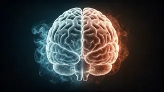 Unlocking Your Brain: Why Long Work Hours Cause Foggy Thinking & How to Clear It