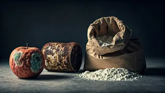 Madhya Pradesh Food Raids Uncover Alarming Violations: Expired Goods and Cross-Contamination Found