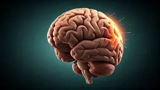 The Brain's Glucose Crisis: Recognizing Severe Low Blood Sugar Symptoms and Seizures