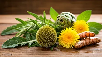 Heal Fatty Liver With These 10 Herbs