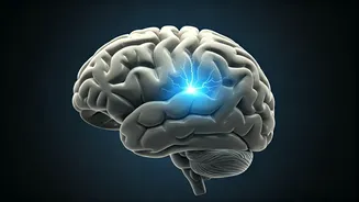 The Sudden Jolt: Unpacking the Science Behind the Infamous Brain Freeze