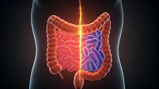 Two Weeks Dairy-Free: Unveiling Your Body's Surprising Transformations