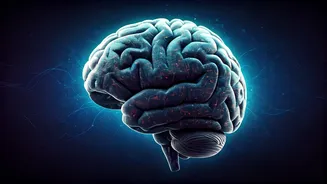 Demystifying AI: Your Essential Guide to Understanding and Using Artificial Intelligence