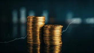 Decoding the Indian Stock Market: Trends & Insights