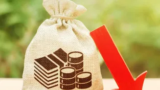 Equity Mutual Funds vs Direct Stocks: Weighing Investment Risks For First-Time Personal Portfolios