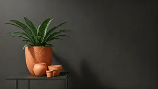 How Terracotta Elements Personalise Stark Urban Living Spaces Cost-effectively