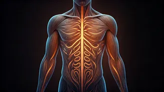 Use your body clock for better fitness