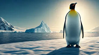 Beyond the Waddle: 6 Astonishing Facts Revealing the True Penguin