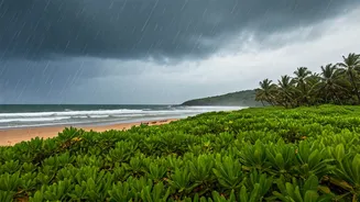 Peak-Season Crowds Are Losing To Rainy Goa