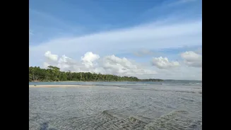 Virtual Workshop Held to Strengthen Tsunami Preparedness in Andaman & Nicobar Islands