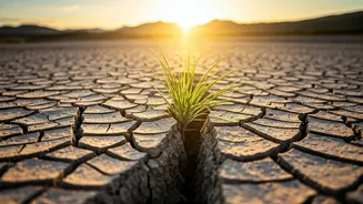 CO2 Levels Spike to Record Highs on Earth