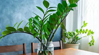 Latest Update On Plant Propagation Using Everyday Cuttings