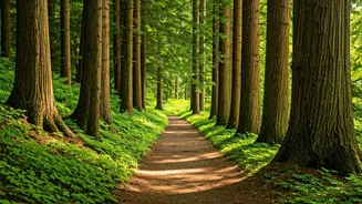 Navigating Difficult People: A Guide for Inner Peace