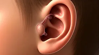 Navigating Childhood Ear Infections: When to Worry, When to Wait, and What Parents Need to Know