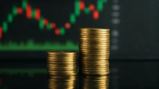 Indian Market: Key Stocks & Investment Insights