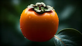 Move Over Apples, Persimmon Is The 2026 Superfood